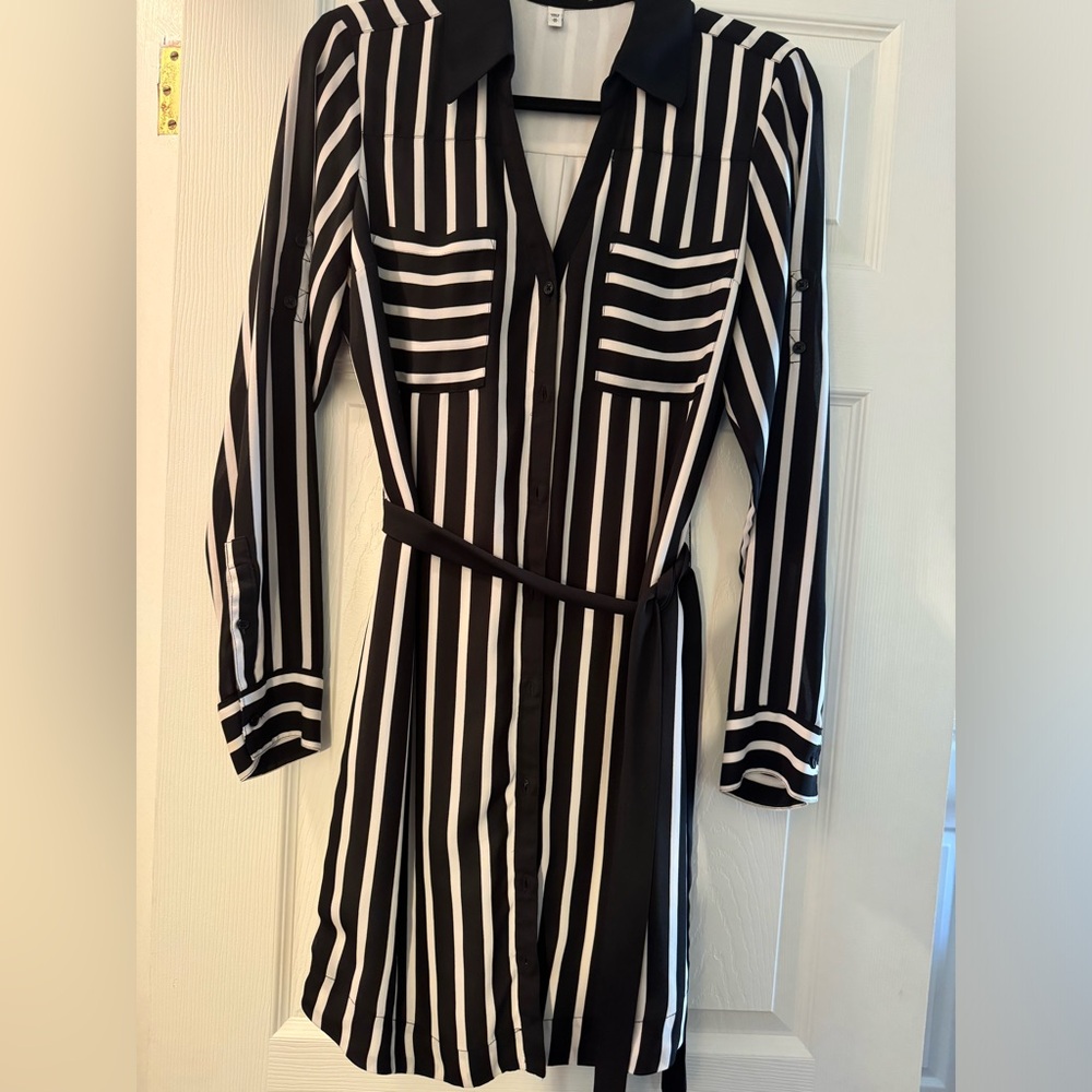 Express Cocktail Dress